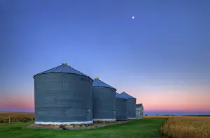 Agribusiness Prints: Grain bins at dawn with moon near Swift Current Saskatchewan, Canada