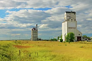Elevator Collection: Grain elevator and inlnd grain terminal Hodgeville Saskatchewan, Canada