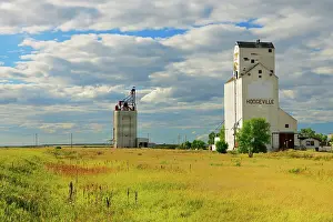 Elevator Prints: Grain elevator and inlnd grain terminal Hodgeville Saskatchewan, Canada