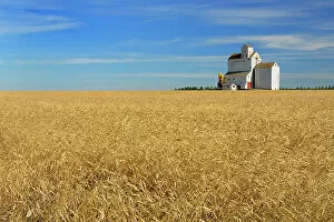 Agribusiness Gallery: Grain elevator and wheat field Lang Saskatchewan, Canada