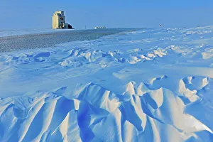 Food Gallery: Grain elevator and wind sculptured snow WIllows Saskatchewan, Canada