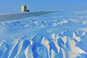Industry Prints: Grain elevator and wind sculptured snow WIllows Saskatchewan, Canada