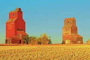 Prairie Sentinel Collection: Grain elevators in ghost town Lepine Saskatchewan, Canada