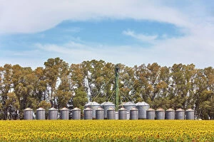 Images Dated 27th April 2023: A grain silo storage facility with a field of sunflowers in the Argentine Pampas