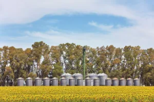 Images Dated 27th April 2023: A grain silo storage facility with a field of sunflowers in the Argentine Pampas