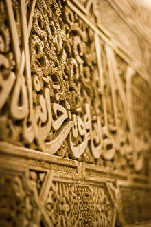 Images Dated 2011 August: 