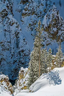 Carvings Prints: Grand Canyon of the Yellowstone in winter, Yellowstone National Park, Wyoming, USA