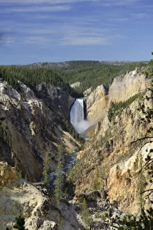 Images Dated 15th June 2009: Grand Canyon of the Yellowstone and Yellowstone Falls, Yellowstone National Park, Wyoming