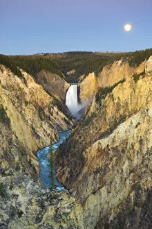 Images Dated 8th June 2009: Grand Canyon of the Yellowstone and Yellowstone Falls, Yellowstone National Park, Wyoming