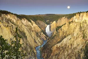 Images Dated 8th June 2009: Grand Canyon of the Yellowstone and Yellowstone Falls, Yellowstone National Park, Wyoming