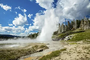 Images Dated 11th November 2020: Grand Geyser, Upper Geyser Basin, Yellowstone National Park, Wyoming, USA