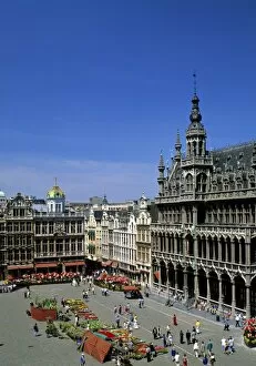 Rex Butcher Gallery: Grand Place