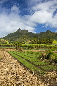 Grand Port district, East Coast, Mauritius