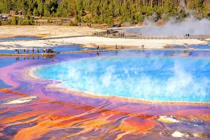 Hot Spring Prints: Grand Prismatic Spring, Midway Geyser Basin Yellowstone National Park Wyoming, USA