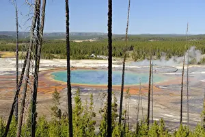Geo Thermal Prints: Grand Prismatic Spring (Worlds third Largest Thermal Pool), Yellowstone National