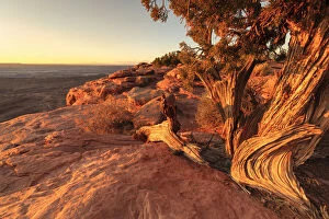 Erosion Landscape Collection: Grand View Point, Canyonlands National Park, Utah, USA
