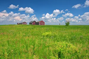 Prairie Province Prints: Graneries and clouds Oyen, Alberta, Canada