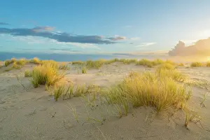 Grass covered sand dunes near List-Ost Lighthouse at sunrise, Ellenbogen, Sylt, Nordfriesland, Schleswig-Holstein, Germany