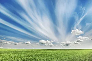 Cirrus Cloud Prints: Grass land and clouds - Canada, Alberta, Longview, south of