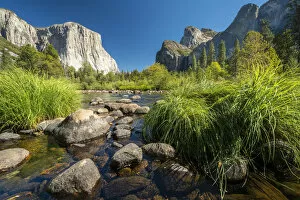 Stream Gallery: Grasses and rocks in Merced River at Valley View on sunny day, Yosemite National Park