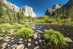 Images Dated 6th January 2020: Grasses and rocks in Merced River at Valley View on sunny day, Yosemite National Park