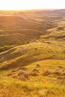 East Block Prints: Grasslands National Park East Block, Saskatchewan, Canada, North America