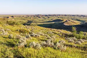 East Block Prints: Grasslands National Park East Block, Saskatchewan, Canada, North America