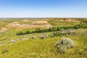 Saskatchewan Prints: Grasslands National Park East Block, Saskatchewan, Canada, North America
