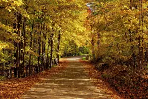 Adirondacks Prints: Gravel road in autumn, Adirondack Mountains, New York, USA