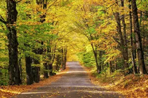 Adirondacks Prints: Gravel road in autumn, Adirondack Mountains, New York, USA
