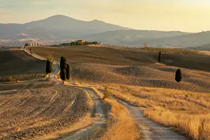 Val Dorcia Prints: Gravel track leading to Terrapille Farmhouse (featured in Gladiator movie)