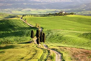 Gladiator Movie Prints: Gravel track leading to Terrapille Farmhouse (featured in Gladiator movie)