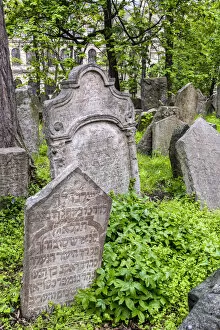 Images Dated 11th May 2017: Gravestones in the Old Jewish Cemetery, Prague, Bohemia, Czech Republic