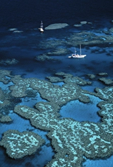 Great barrier Reef