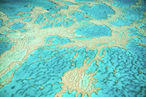 Great Barrier Reef, Queensland, Australia