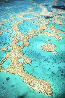 Natural Gallery: Great Barrier Reef, Queensland, Australia