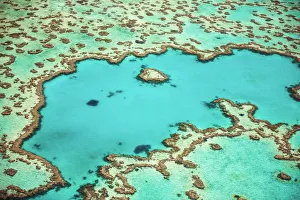 Great Barrier Reef, Queensland, Australia