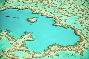 Great Barrier Reef, Queensland, Australia