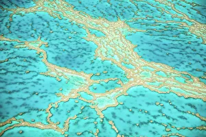 Great Barrier Reef, Queensland, Australia