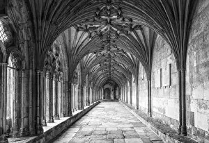 Images Dated 22nd March 2021: The Great Cloister of the Canterbury Cathedral, Kent, England