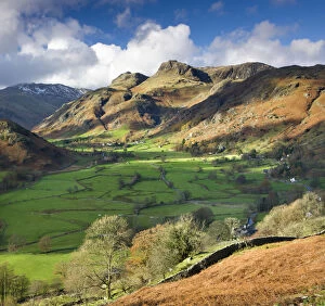Images Dated 25th February 2015: Great Langdale and the Langdale Pikes, Lake District National Park, Cumbria, England