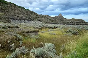 Great Plains Prints: Great Plains, Montana, Eastern, Glendive, Makoshika State Park, Badlands