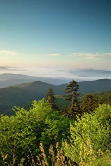 Great Smoky Mountains National Park, North Carolina, USA