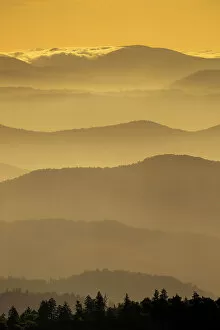 January Gallery: Great Smoky Mountains National Park, North Carolina, USA
