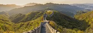 Images Dated 23rd October 2013: The Great Wall at Mutianyu nr Beijing in Hebei Province, China