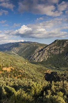 Images Dated 16th October 2013: Greece, Central Greece Region, Delphi, landscape above Delphi Valley