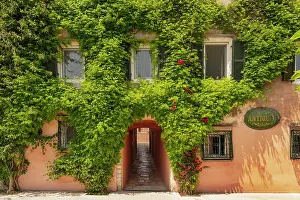 Kerkyra Prints: Greece, Ionian Islands, Corfu, Corfu town, climbers covering building