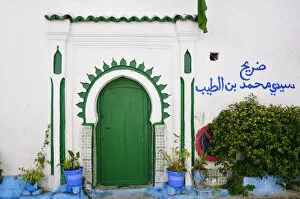 Medina Gallery: Green door and flowers of the Tanger medina. Morocco