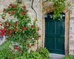 Tuscany Collection: Green Door & Roses, Monticchiello, Tuscany, Italy