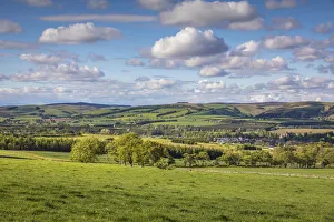 Pastures Prints: Green hills on the Southern Upland Way by the village of Lauder, Scotish Borders